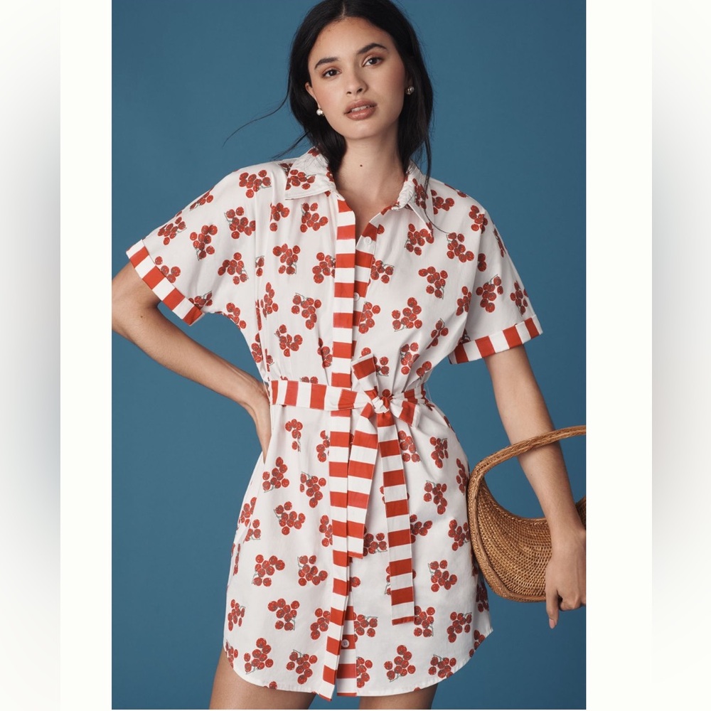 Anthropologie Rachel Antonoff Jenny Shirt Dress